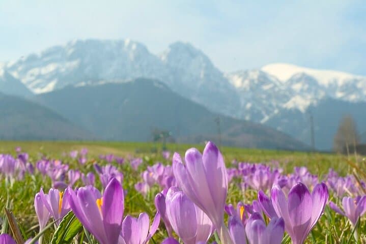 Zakopane & Tatra Mountains