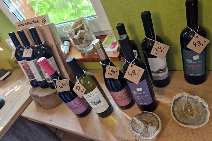 Private Wine Tasting at Vineyard From Krakow