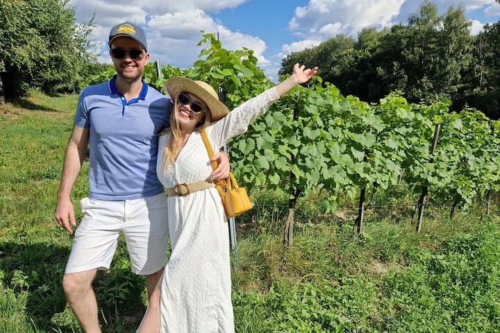 Private Wine Tasting at Vineyard From Krakow