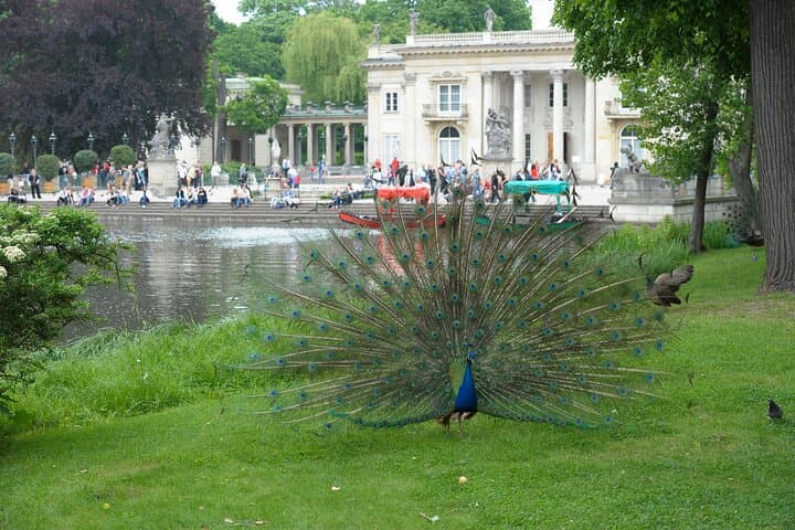The Royal Lazienki Park