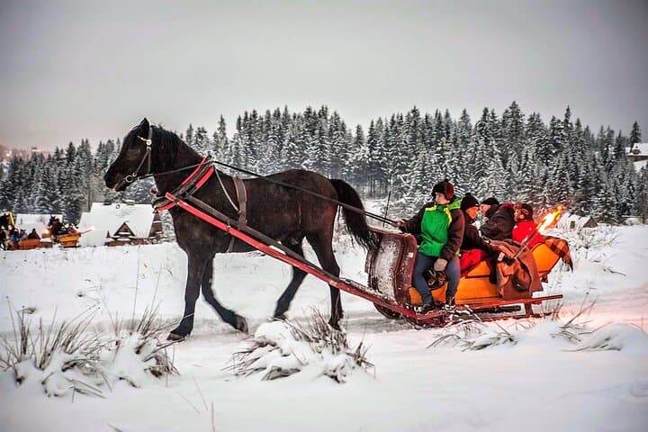 From Krakow; horse-drawn carriage with a bonfire sausage roasting