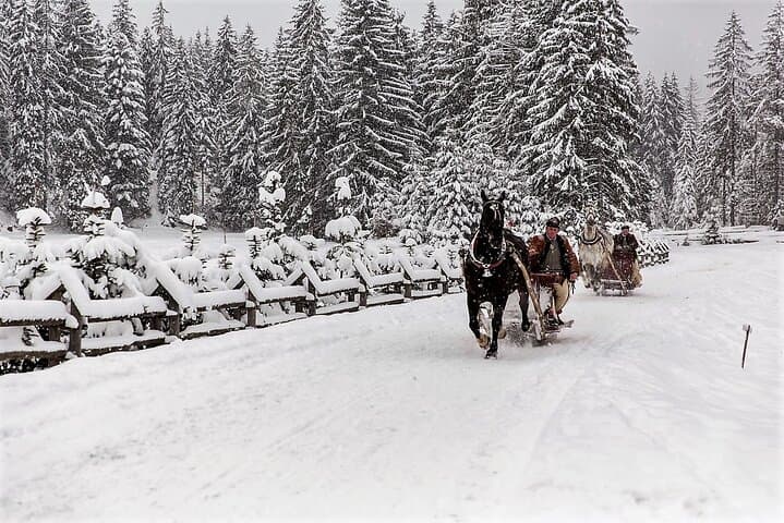 From Krakow; horse-drawn carriage with a bonfire sausage roasting