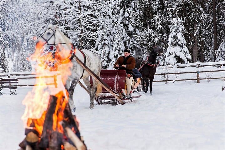From Krakow; horse-drawn carriage with a bonfire sausage roasting