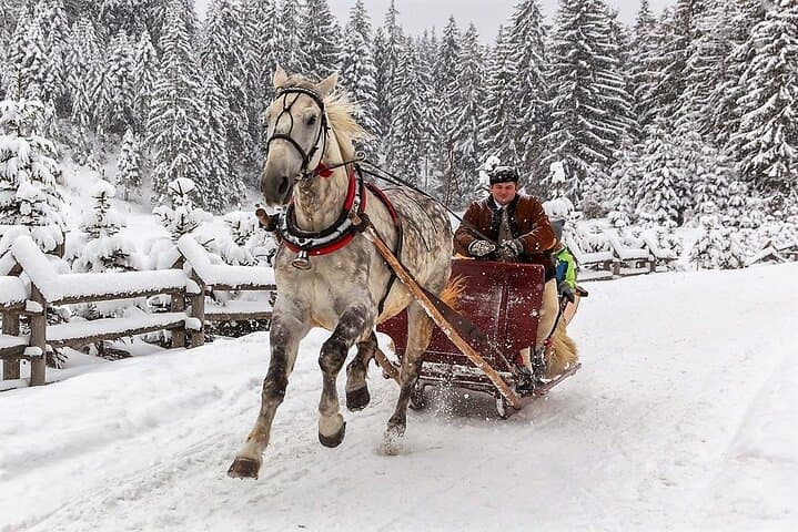 From Krakow; horse-drawn carriage with a bonfire sausage roasting