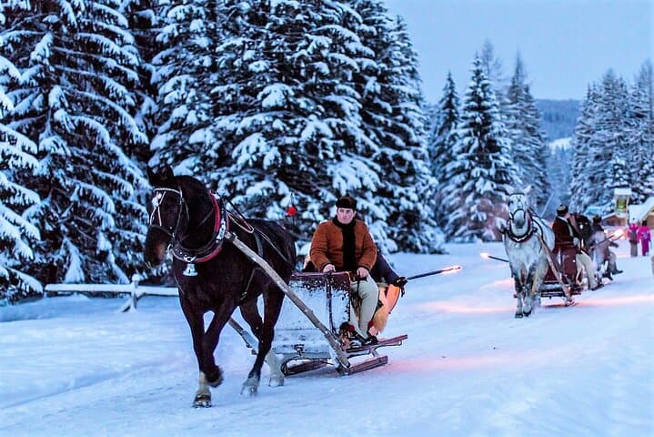 From Krakow; horse-drawn carriage with a bonfire sausage roasting