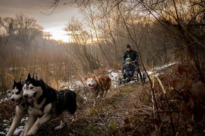 Kraków- An Unforgettable Adventure With Full Dog Sled Ride