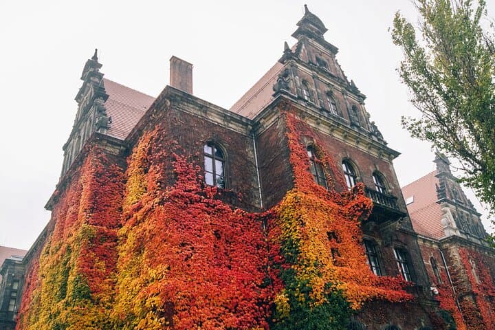 Fascinating Highlights of Wroclaw - Private Walking Tour