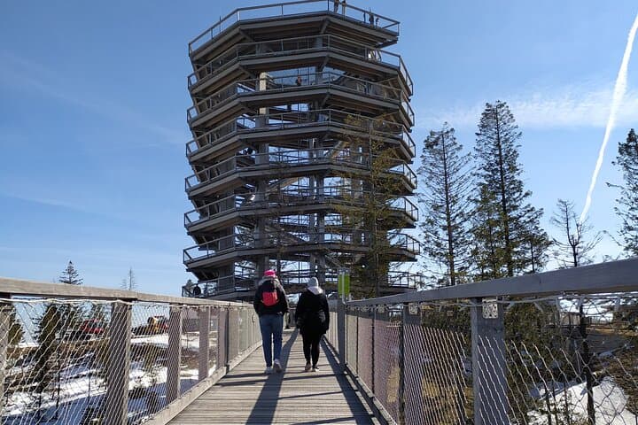Tree Top Walk in Slovakia & Zakopane Private Tour From Krakow