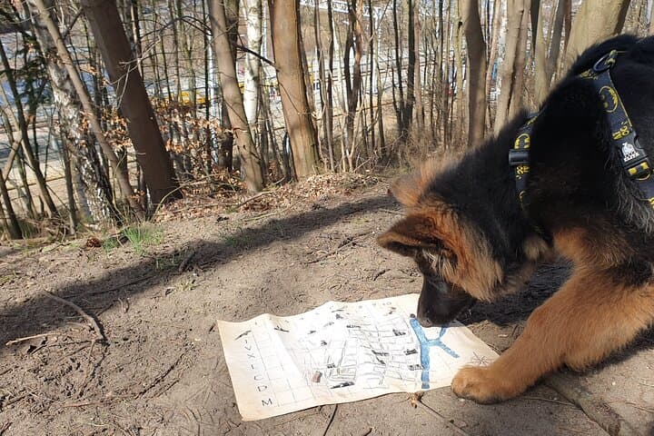 Scavenger Hunt in Gdańsk, Poland