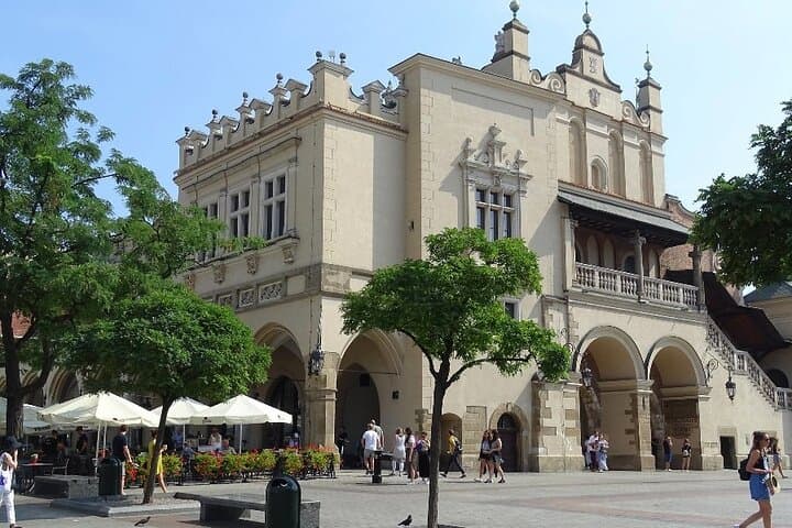 Krakow in a Day: Private Walking Tour including Wawel Castle