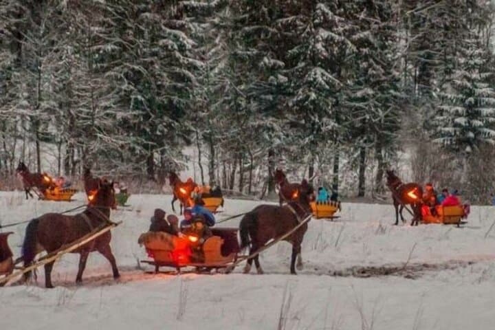 Zakopane Sleigh Ride in Tatra Mountains