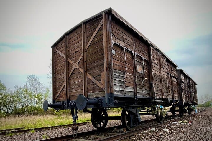 Krakow: Auschwitz - Birkenau Guided Tour with Private Transport