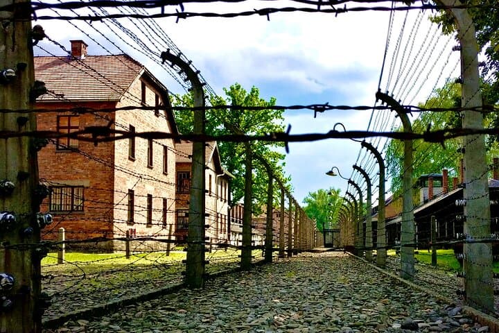 Krakow: Auschwitz - Birkenau Guided Tour with Private Transport