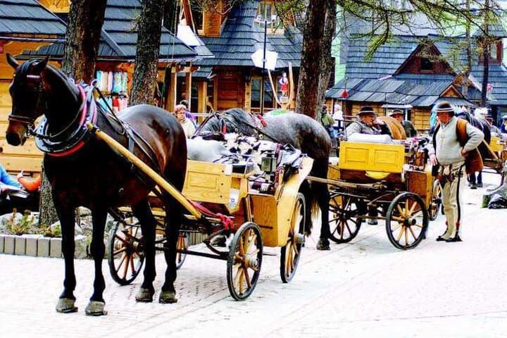 Zakopane full day tour with cable car & thermal baths from Krakow