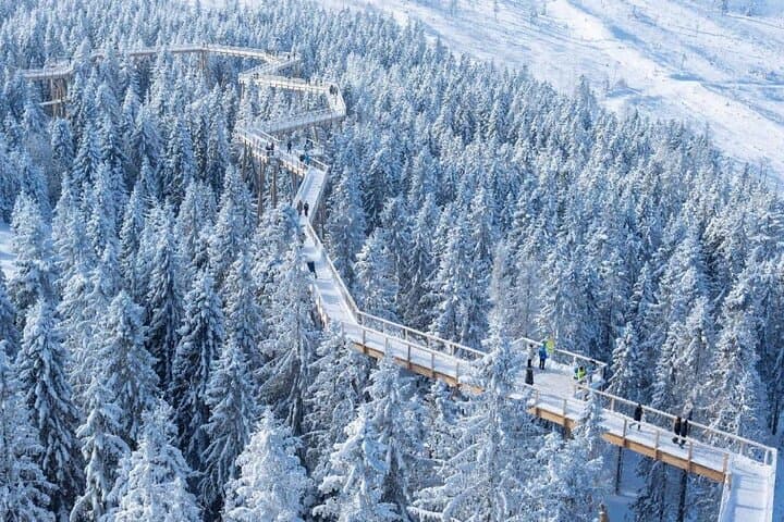 Bachledka Treetop and Strbskie Pleso Tour from Zakopane