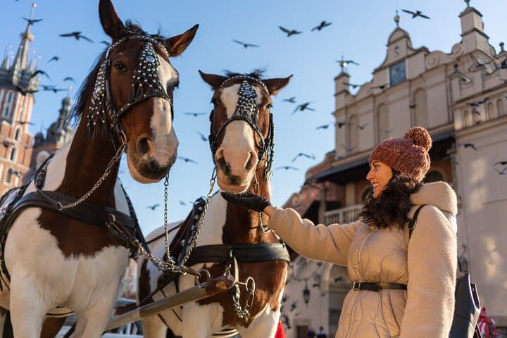 Czartoryski Palace Museum Tickets and Krakow Old Town Tour