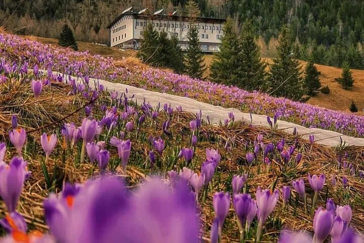 Private Tour to Zakopane and Tatra Mountains from Krakow