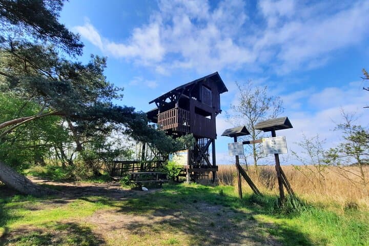 Nature Walk and Wildlife Tour in Sobieszewo Island