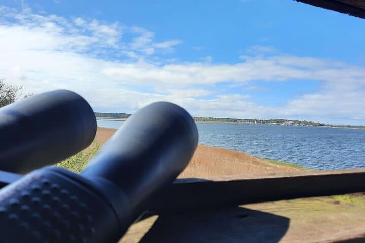Nature Walk and Wildlife Tour in Sobieszewo Island