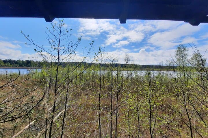 Nature Walk and Wildlife Tour in Sobieszewo Island