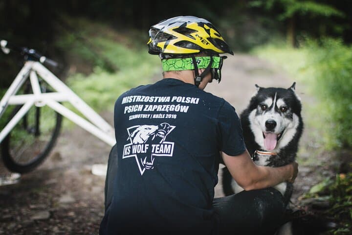 Thrilling Dog Sled Rig Rides in Beskid Wyspowy
