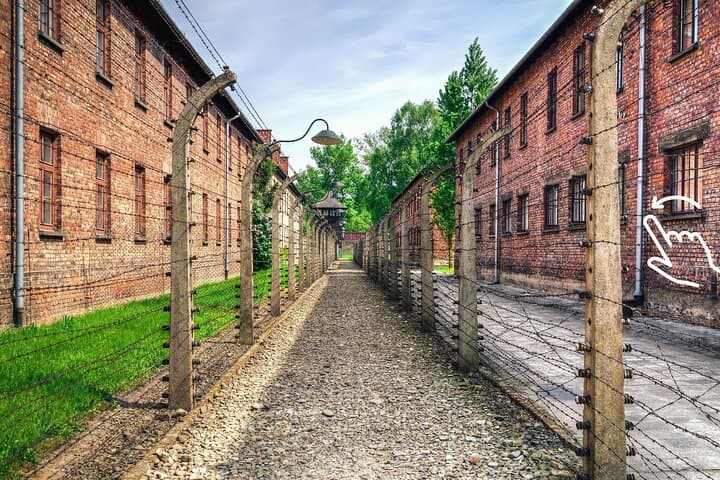 Krakow: Auschwitz-Birkenau Guided Tour with Hotel Transfer