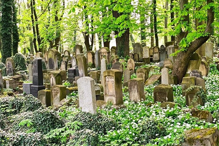 Serene tranquility at the Jewish Cemetery