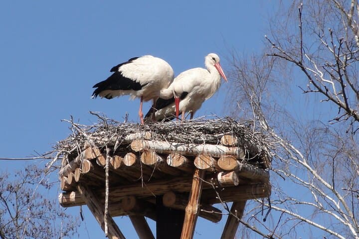 8 Days Private Northeastern Poland Tour
