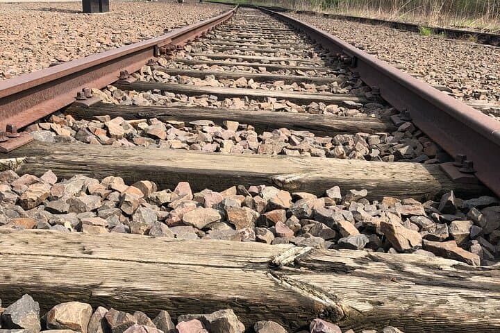 Auschwitz Birkenau Shared Guided Tour from Krakow