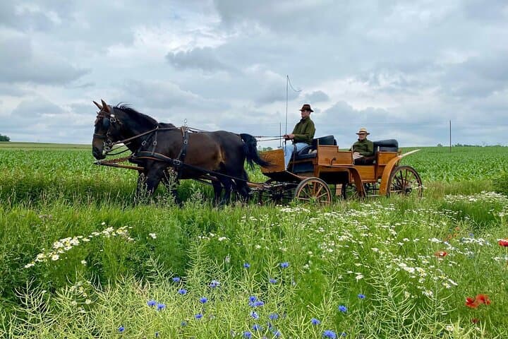 Country and Castle Tours by Carriage