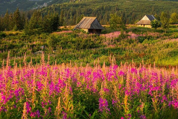 Zakopane Private day trip from Krakow with Hot Springs, Cable Car