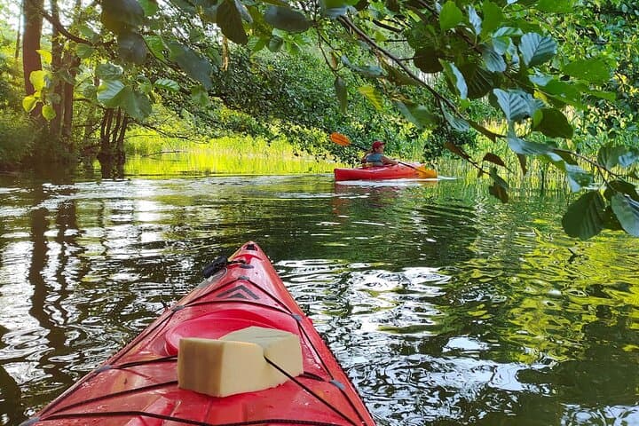 kayak rental