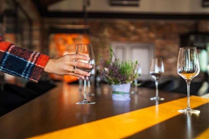 Krakow Vineyard Tour with Wine Tasting and Dinner