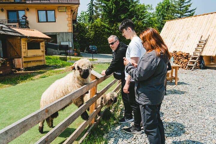 Krakow: Zakopane, Cable Car & Thermal Baths Day Trip with Pickup