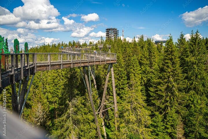 Dunajec River Gorge Rafting and Tree Top Walk from Krakow