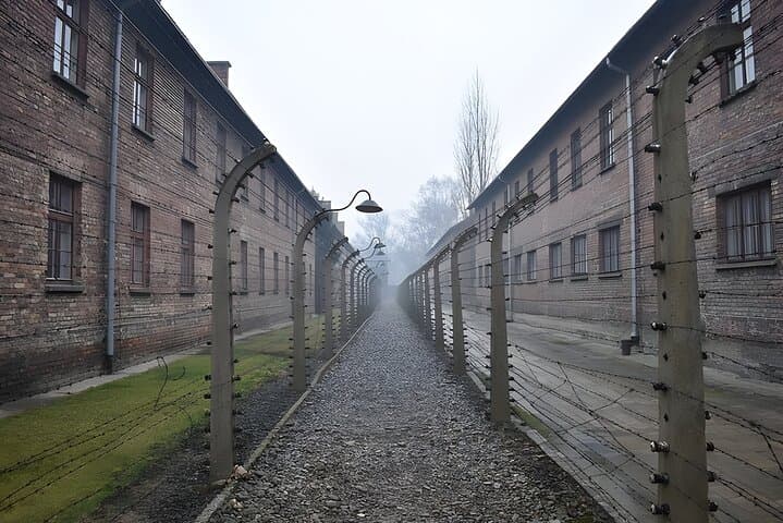 Auschwitz Tour from Krakow via Private Van with Tickets