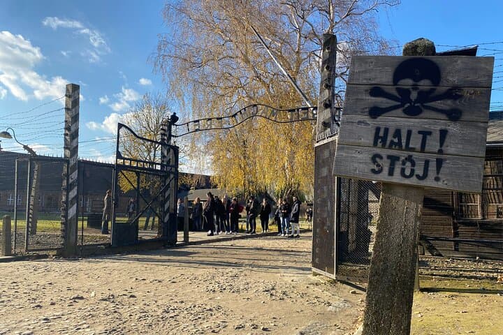 Krakow: Auschwitz-Birkenau & Salt Mine -private/shared transport