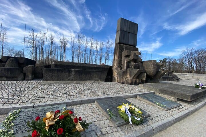 Krakow: Auschwitz-Birkenau & Salt Mine -private/shared transport