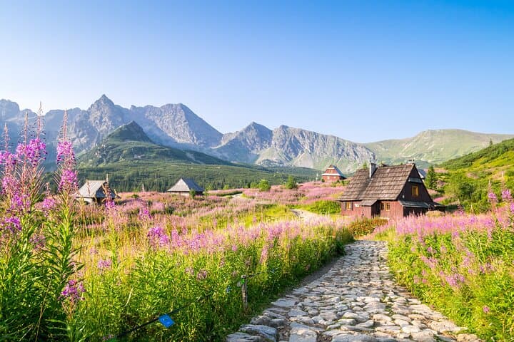 Zakopane Old Town Exclusive Walking Tour with Private Guide