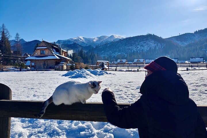 Zakopane Private day trip from Krakow with Hot Springs, Cable Car
