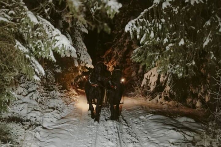 Krakow Sleigh Ride Adventure in Chocholowska Valley in Tatras