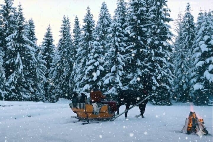 Krakow Sleigh Ride Adventure in Chocholowska Valley in Tatras