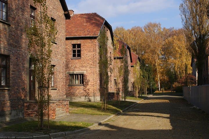 Auschwitz Birkenau Tour with Transfer and Tickets From Krakow