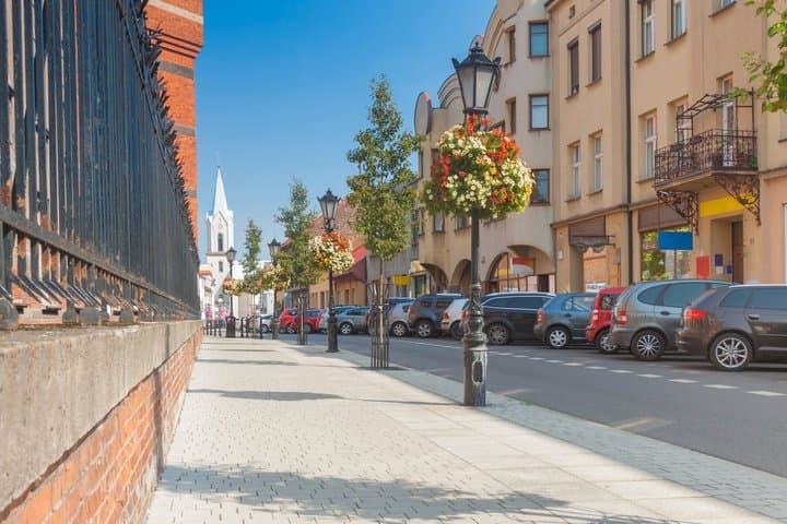 Private Walking Tour in Warsaw: Sin City History