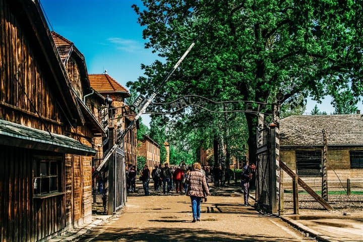 Auschwitz-Birkenau and Wieliczka Salt Mine Day Tour from Krakow with private car