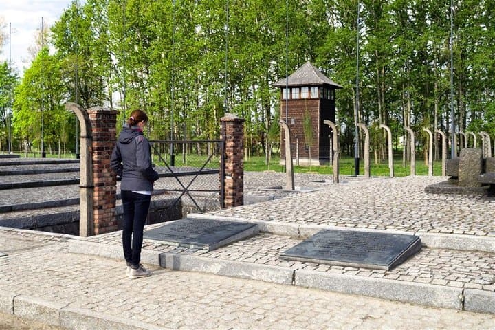 Auschwitz-Birkenau and Wieliczka Salt Mine Day Tour from Krakow with private car