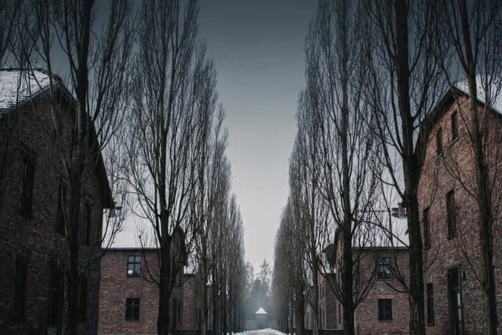 Auschwitz Birkenau Self Guided and Guided Tour with Hotel Pickup