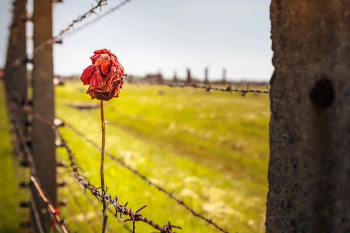 Auschwitz Birkenau Self Guided Tour from Krakow