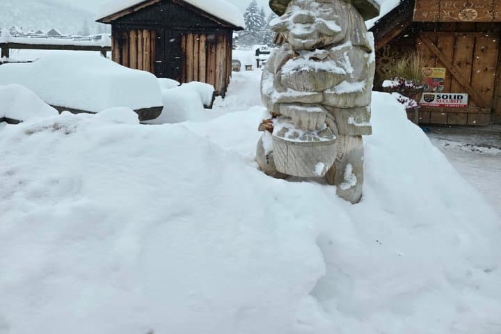 Tatra Mountains Snowmobile or Quad Adventure from Zakopane