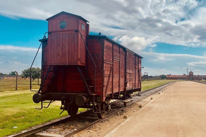 Auschwitz-Birkenau Guided tour from Krakow/Minivan Small Group